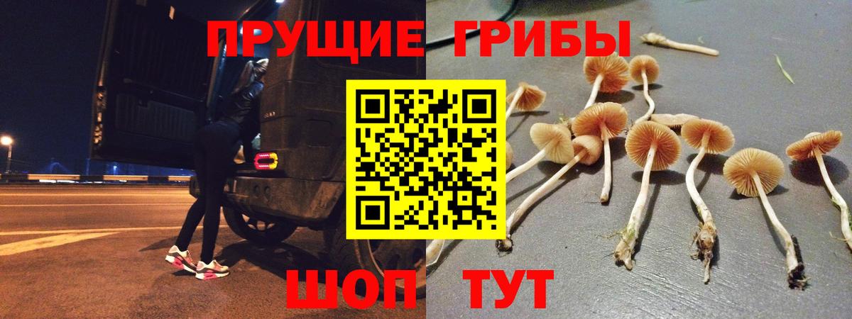 Галлюциногенные грибы мухоморы  Галлюциногенные грибы мухоморы  Вход с VPN  Вологда 