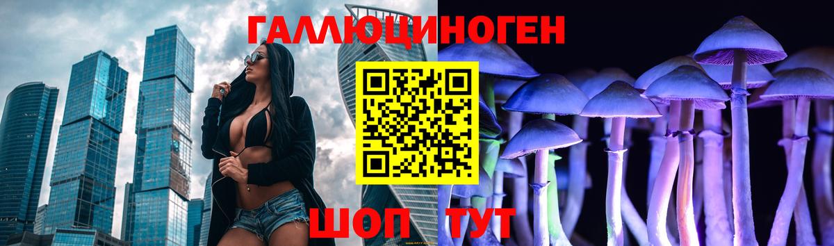 Псилоцибиновые грибы GOLDEN TEACHER Вологда